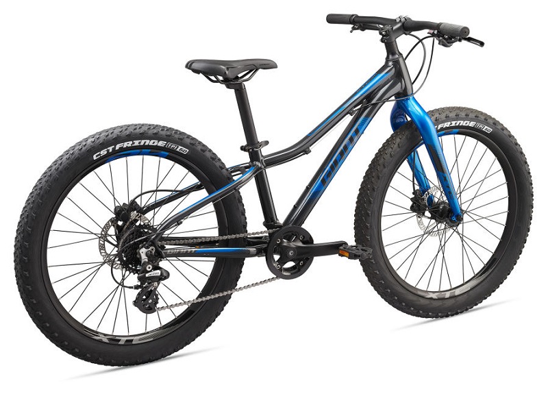 GIANT XTC JR 24 + 2020 – Image 2